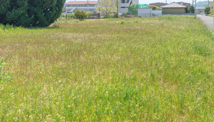 更地にして活用する