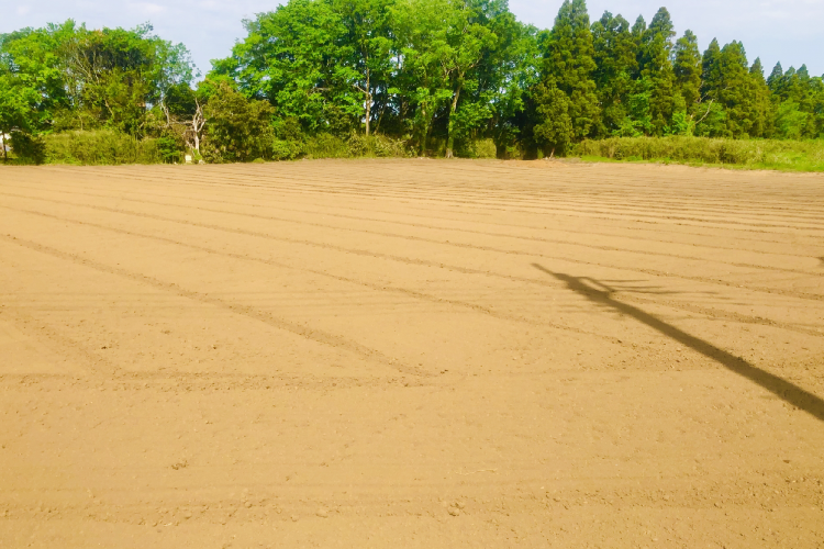 空き地の取り扱いも得意です！